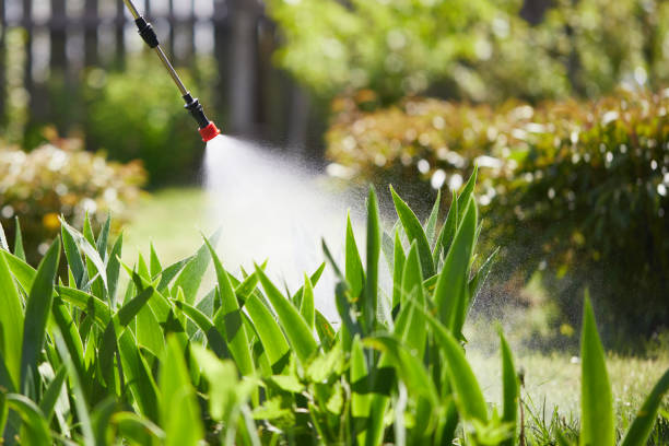 24/7 Emergency Mosquito Control experts in Black Creek, WI